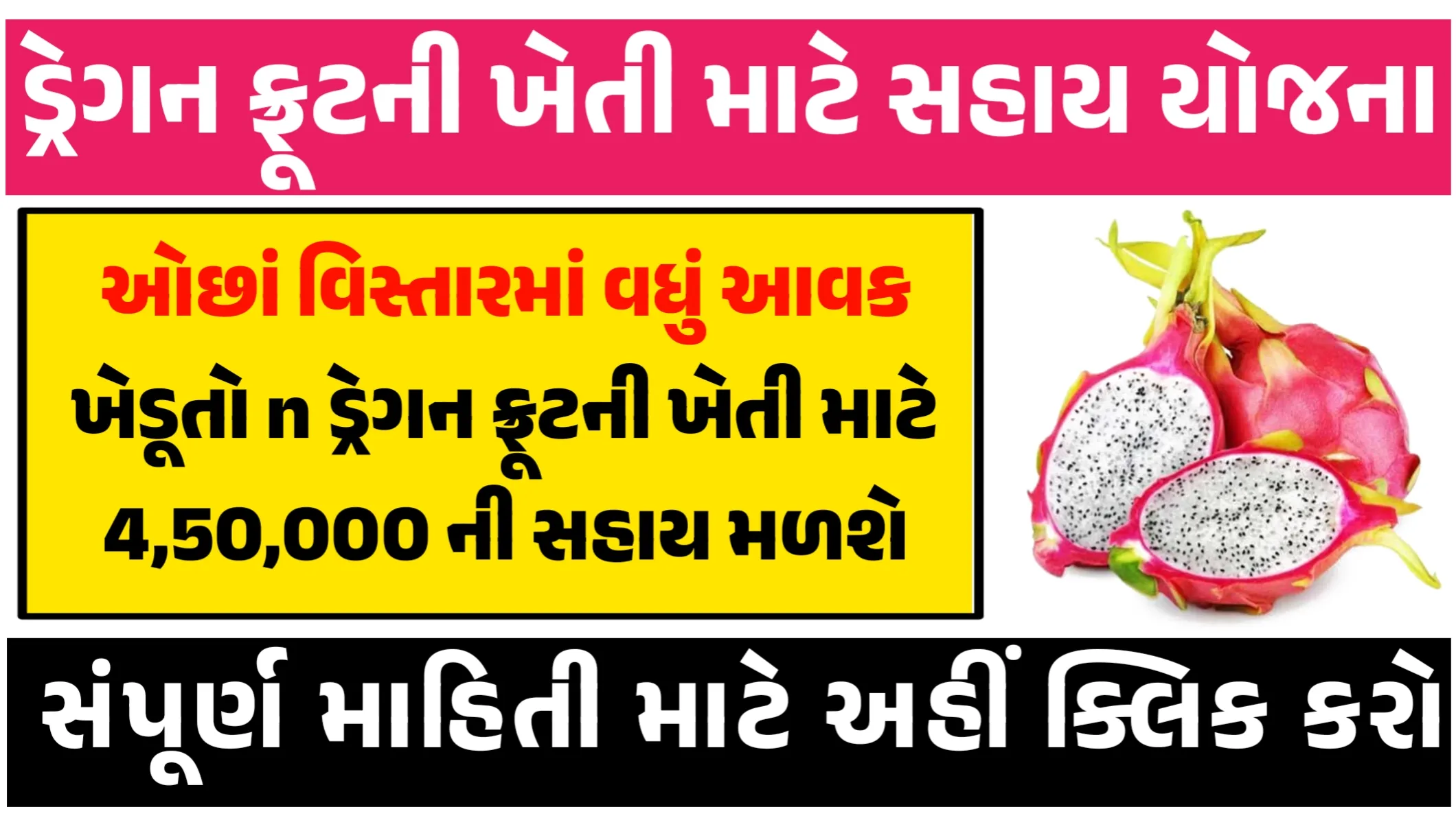 Dragon Fruit Farming Sahay Yojana